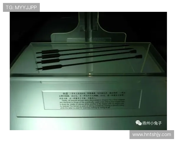 南京羽毛球队阵地战体系解析与战术应用探讨